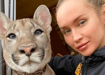 Influencer es criticada por adoptar a puma como mascota y ‘exponer’ a niños