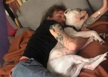 Actor francés fallece en México al intentar rescatar a su perrita caída en un pozo de agua con azufre