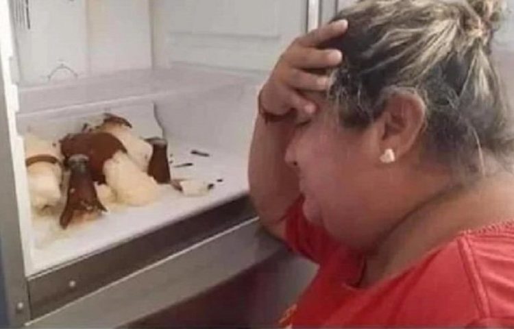 Personas que están sufriendo un año de mala suerte