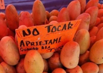 Frases en carteles y paredes que dan mucho de qué pensar