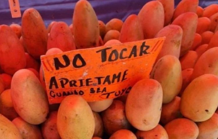 Frases en carteles y paredes que dan mucho de qué pensar