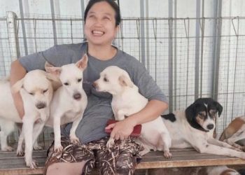 Mujer salva a más de mil 400 perros de ser comidos en Indonesia