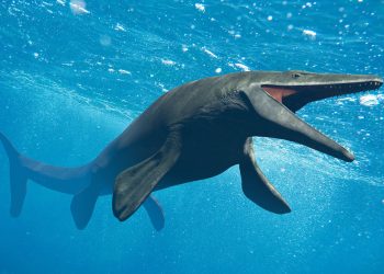 Identifican una nueva especie de megadepredador del Cretácico que tenía el hocico «extremadamente largo»