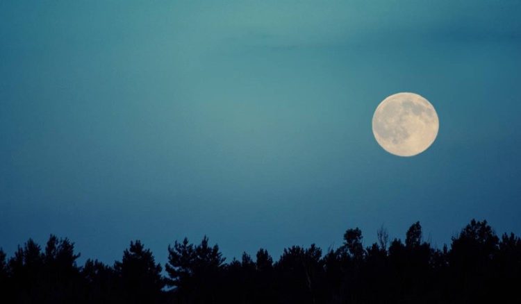 El misterio de la Luna Azul de Halloween