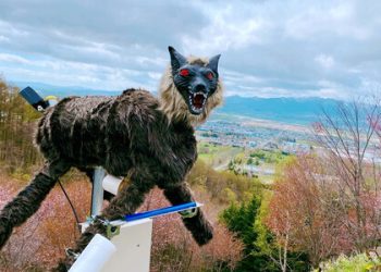 Japón está desplegando un ejército de lobos-robot para ahuyentar a osos y otros animales salvajes