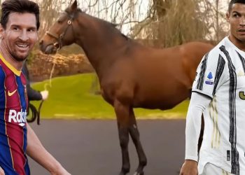 Conoce a Galileo el caballo que vale más que Messi y Cristiano juntos