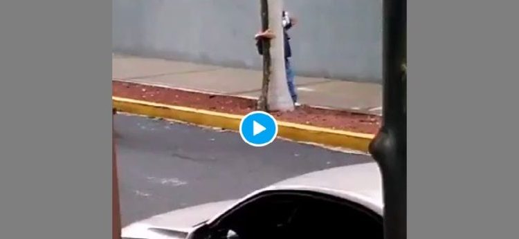 Ciudadano se aferra a una palmera ante fuertes vientos en San Salvador
