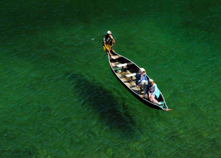 Las aguas de un río se vuelven completamente verdes de un día para otro en China