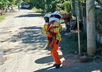 Rescatan a cuatro niños que corrían el riesgo de ser atacados por un enjambre de abejas en Sonsonate