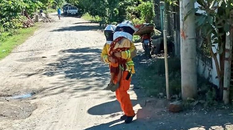 Rescatan a cuatro niños que corrían el riesgo de ser atacados por un enjambre de abejas en Sonsonate