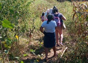 Miembros de una familia son atacados por un enjambre de abejas en Cabañas