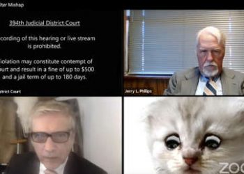 «Estoy aquí, no soy un gato»: Un abogado de Texas comparece en una audiencia virtual y no logra apagar un filtro que lo hace ver como felino