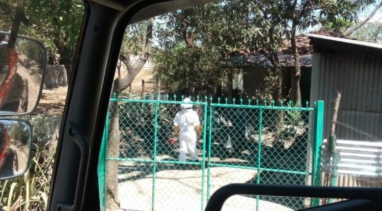 Niño de 3 años es atacado por un enjambre de abejas alborotadas