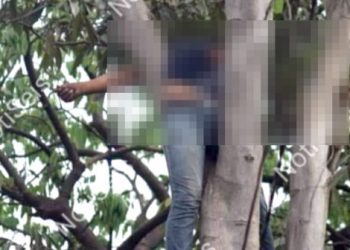 Hombre que se rebuscaba podando arboles pierde la vida tras hacer contacto con cables de alta tensión
