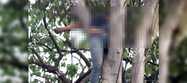 Hombre que se rebuscaba podando arboles pierde la vida tras hacer contacto con cables de alta tensión