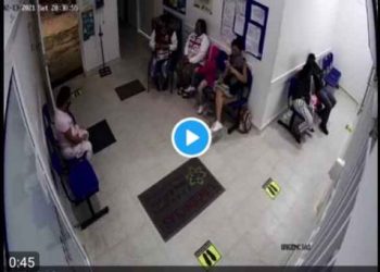 Insólito: Una vaca se mete a sala de urgencias de un hospital y arrasa con todo