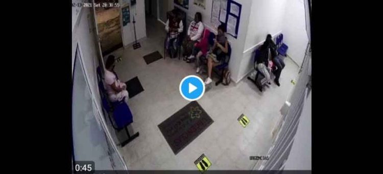 Insólito: Una vaca se mete a sala de urgencias de un hospital y arrasa con todo