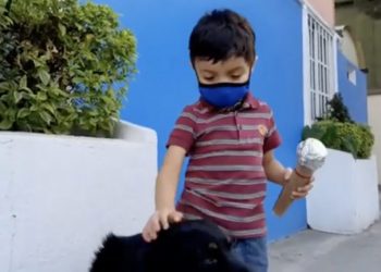EMOTIVO MENSAJE: Niño entrevista a perritos de la calle
