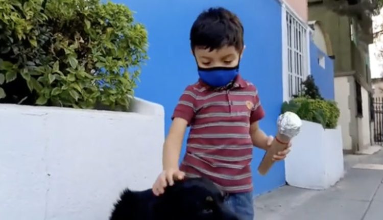EMOTIVO MENSAJE: Niño entrevista a perritos de la calle