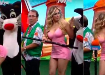 “Gato Silvestre” acosa a una modelo durante la grabación de un programa