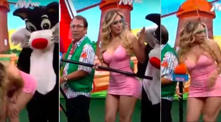 “Gato Silvestre” acosa a una modelo durante la grabación de un programa