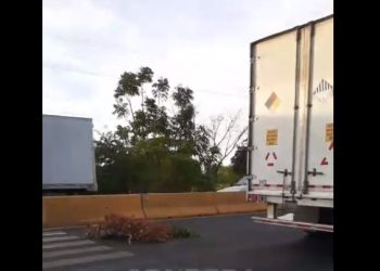 Doña Juana salió de casa para hacer sus ventas esta mañana, pero perdió la vida sobre la carretera a Sonsonate