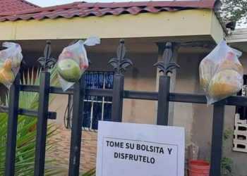 Familia comparte los frutos de sus árboles en Morazán