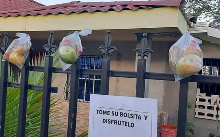 Familia comparte los frutos de sus árboles en Morazán