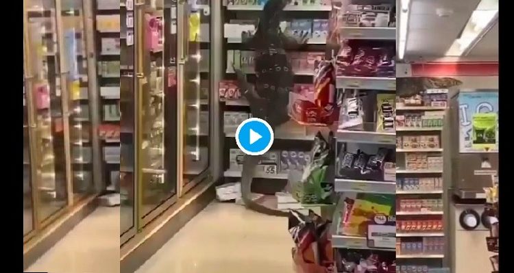 Un lagarto gigante entra a una tienda sembrando el terror entre los clientes