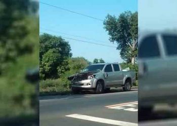 Automovilista choca contra un caballo sobre la carretera Litoral