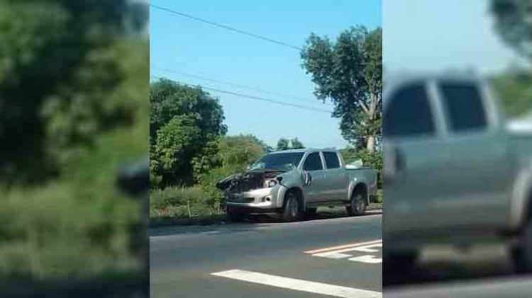 Automovilista choca contra un caballo sobre la carretera Litoral