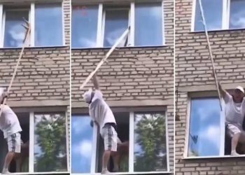 El angustioso pero exitoso rescate de un gato atorado en una ventana