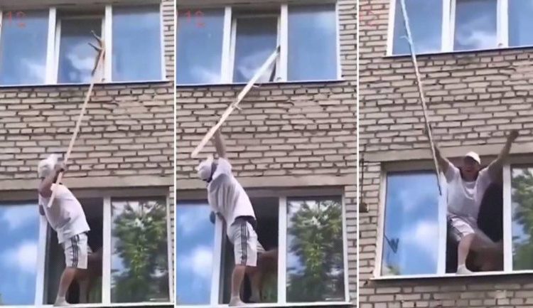 El angustioso pero exitoso rescate de un gato atorado en una ventana