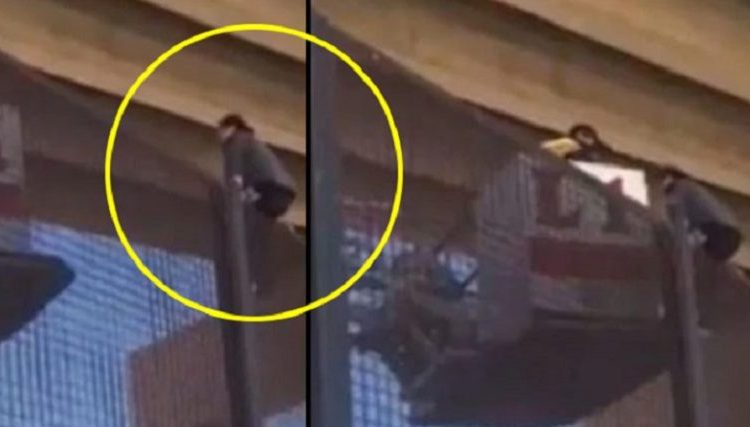 Mujer de nacionalidad hondureña y en estado de embarazo queda atrapada sobre el muro fronterizo de EE.UU.