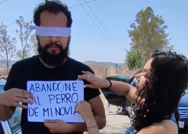 Hombre perdió adrede a perrita de su novia y ella hace lo mismo