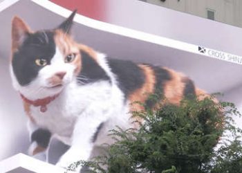 Un gato gigante en 3D deslumbra a los transeúntes en Tokio con murmullos y bostezos
