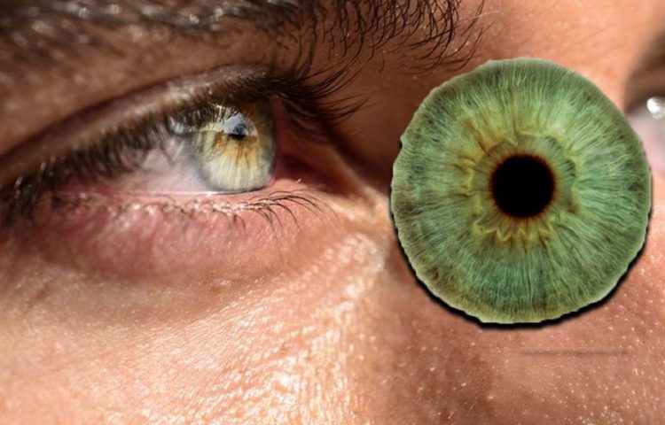 Datos curiosos sobre las personas con ojos verdes