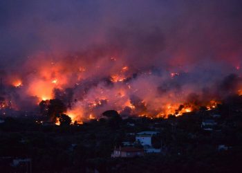Alertan de “una catástrofe bíblica” y un “verano de pesadilla” por incendios forestales en Grecia