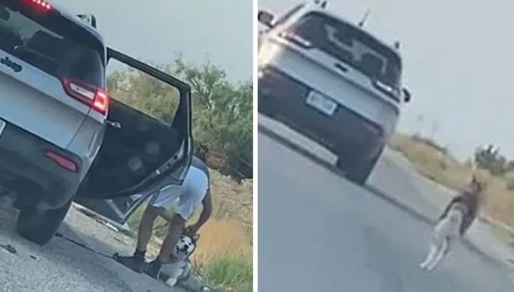 Detienen a sujeto que abandonó a su perro en carretera